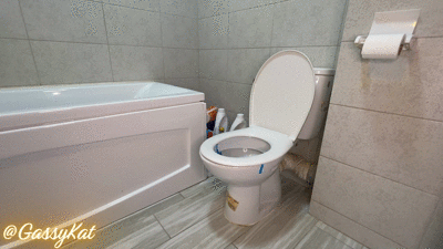 The Daily Toilet Episode 2