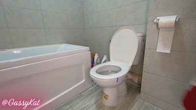 The Daily Toilet Episode 3