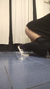 Closed toilet + shitting in a bowl!