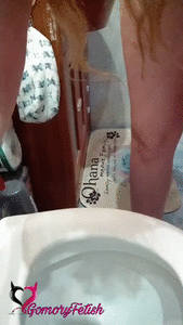 shitting and cleaning the toilet domination