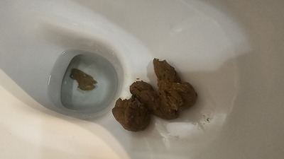 Scat 406: Soggy and full of corn