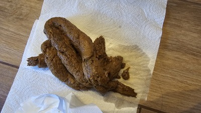 Scat 409: I'm going to pee myself!