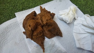 Scat 410: hard caviar