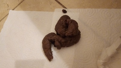 Scat 414: vacation scat