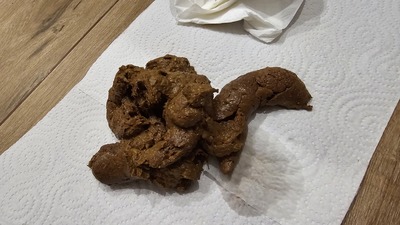 Scat 420: A huge reward!