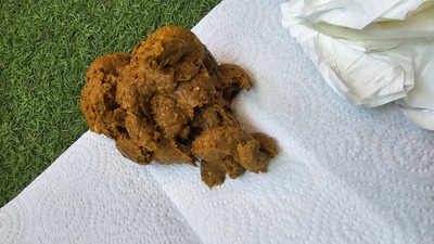 Scat 423: diarrhea-inducing