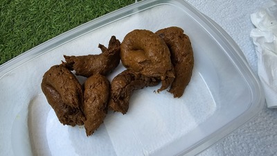 Scat 424: Scat with noodle "worms"