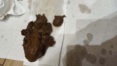 Scat 429: pee-filled pee