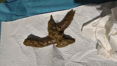 Scat 436: Super long churros!