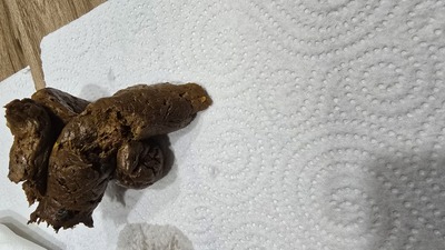 Scat 438: it's pretty hard.