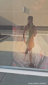 Mycelium_Mother's Secret