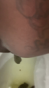 LISTEN TO MY FARTS AND GREEN SHIT