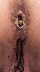 Dine + Burp + Dump + Farts + Joi