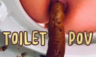 Huge turd on toilet POV