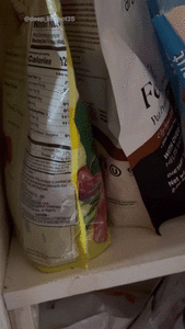 Liberal loser 4th of July