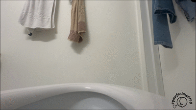 Sitting & Shitting Uncut Toilet Session