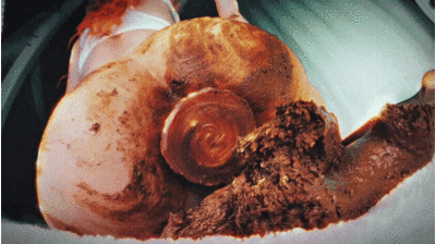 I Squeeze Plug, You Get Filling