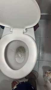 SCAT TOILET POV COMPILATION