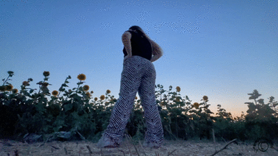 Sunshine Fart Queen Field of Stink Flowers