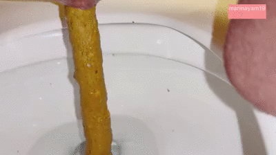 Biggest longest shit at public toilet