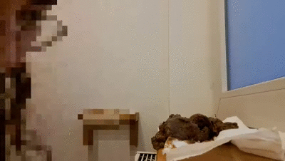 Big shit after the party