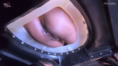 Two asses for a mouth