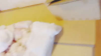 Japanese hotel make me shit