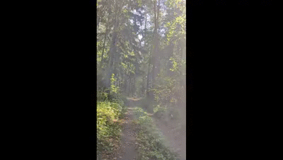 huge long poop in the park