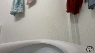 Big Poop Log in Toilet Nasty Dump Show