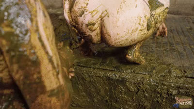 The Manure Monster 4k