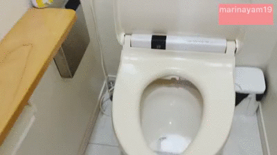 Shitting at Drs in Japan