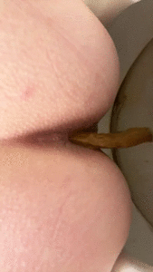 Toilet poop