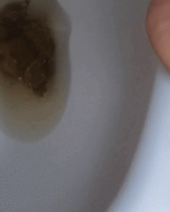 discharge and creamy pussy