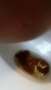 Loud plops splashes farts and queefs