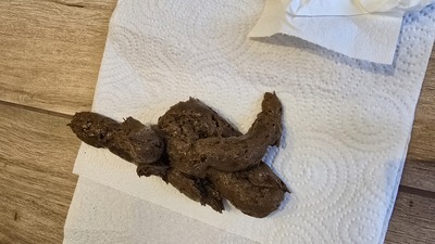 Scat 441: A big, soggy churro