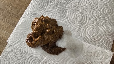 Scat 442: Diarrhea with chunks of corn