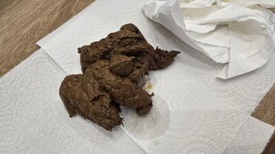 Scat 443: A big, soggy lump