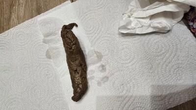 Scat 445: Super hard caviar, I'm constipated