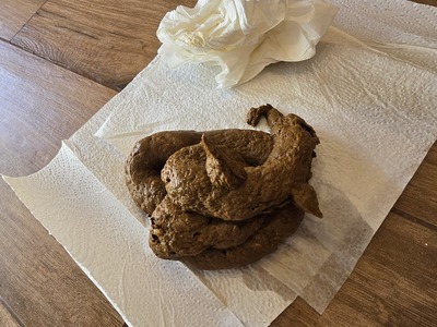 Scat 449: Really, really big!