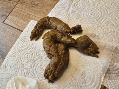 Scat 450: First a hard plug, then a soft one