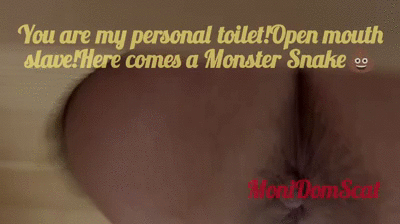 Monster Chocolate Snake