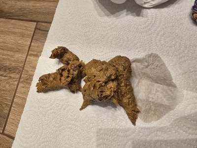 Scat 451: some nice soft churros