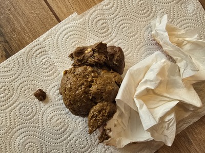 Scat 453: Pretty soft caviar