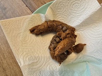 Scat 458: a very soggy churro