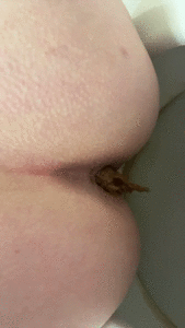 i had to go take a poop again