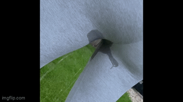 Wetting in my leggings