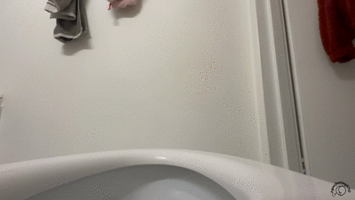 Sneaky View Bathroom Moment