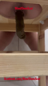 Two colors of poop for you