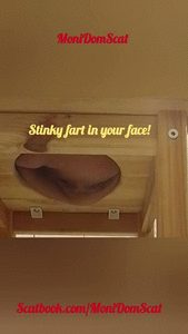 Opened toilet withPre-poop fart