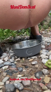 Time for feeding - garden